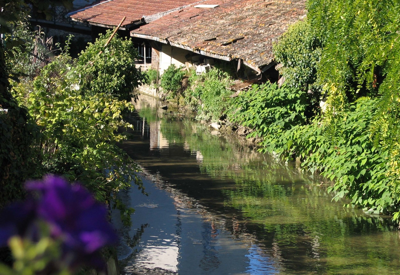 Au fil de l'eau dans les Coteaux Sud