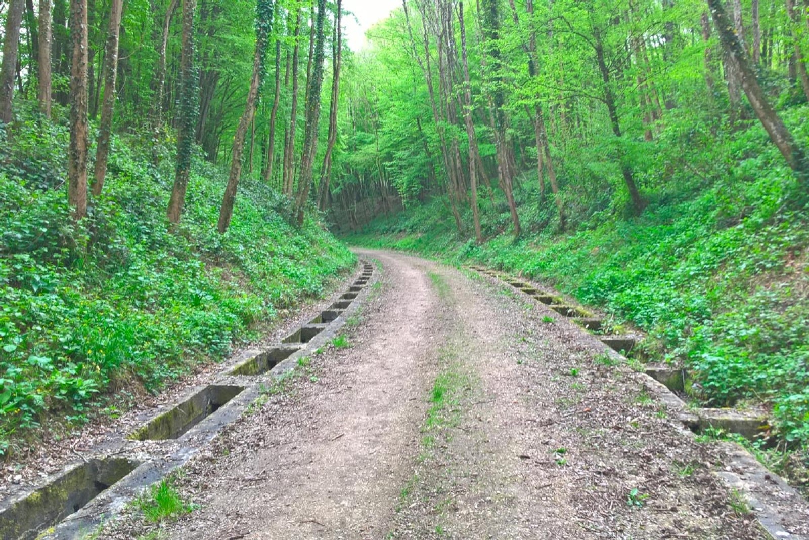 Ligne du CBR