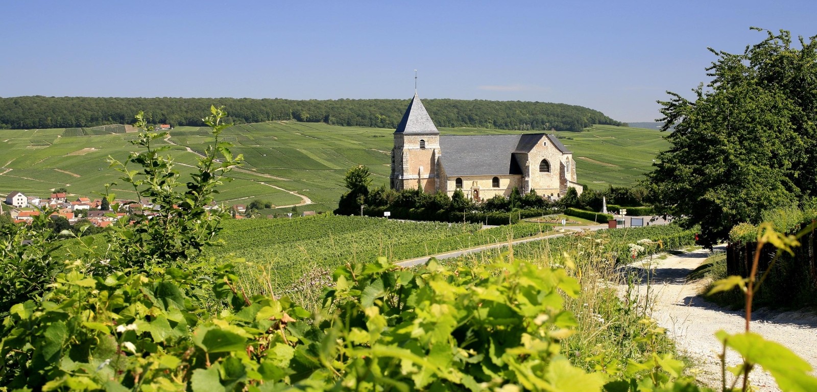 CHAVOT-COURCOURT - photo du village