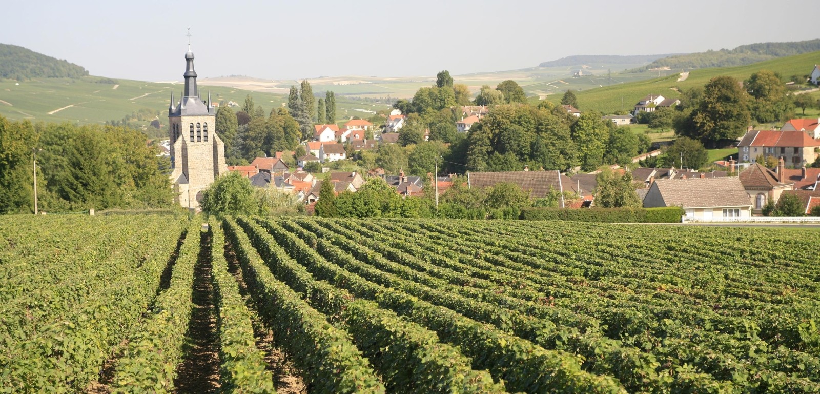 SAINT MARTIN D'ABLOIS - photo du village