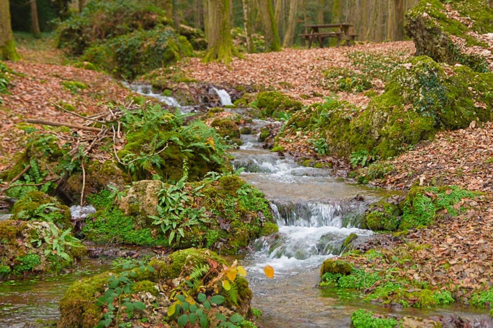 Le parc du Sourdon