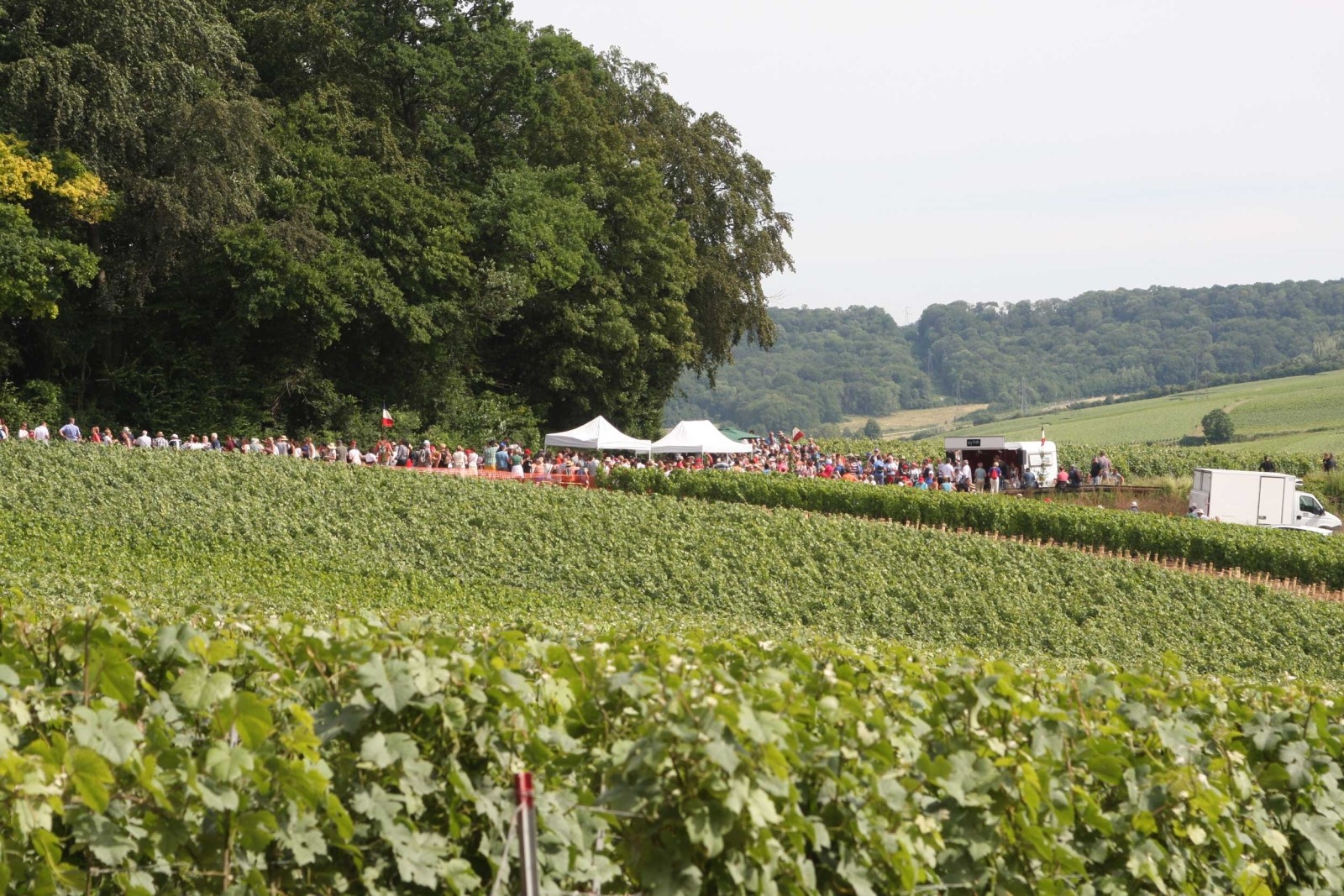 Escapade Gourmande et Pétillante en Champagne, association