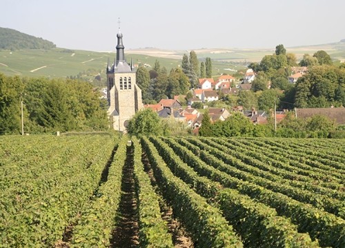 SAINT MARTIN D'ABLOIS