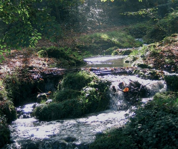 Le parc du Sourdon